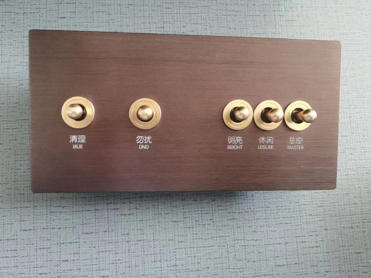 酒店客控系統撥桿開(kāi)關(guān)（金色）